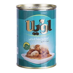 کنسرو لوبیا قارچ 380 اویلا