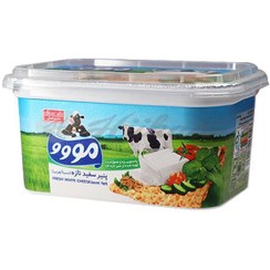 پنیر سفید موووو