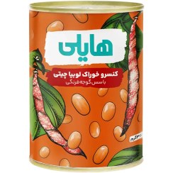 هایلی کنسرو لوبیا چیتی 380 گرم
