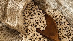 لوبیا چشم بلبلی فله لوبیا چشم بلبلی فله