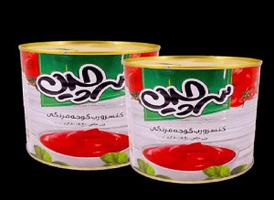 رب گوجه 800 گ سرچین