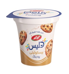 دسر بیسکوییتی دلیس