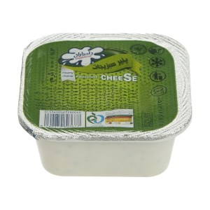 پنیر سبزیجات 100 گ دامداران