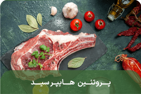 پروتئیننن1-min